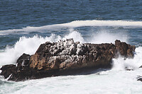 IMG_5798
