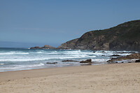 IMG_5979