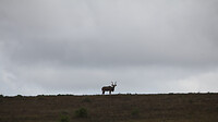 IMG_6058