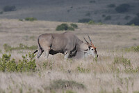 IMG_8197