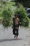 IMG_0001