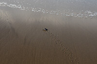 IMG_0456