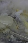 IMG_0590
