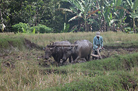 IMG_0614