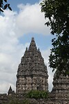 IMG_9831