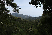 IMG_0972