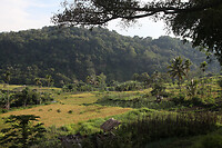 IMG_1112