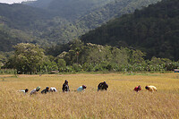 IMG_1113