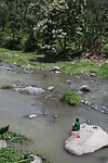IMG_1153