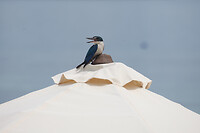 IMG_1404