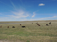 DSCN2840