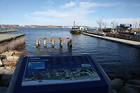 IMG_1432