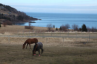 IMG_1471