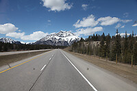 IMG_1494