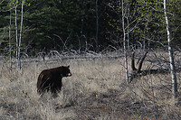 IMG_1888
