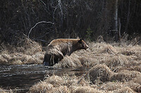 IMG_1914