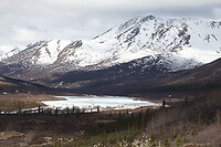 IMG_2049