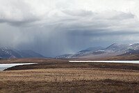 IMG_2065