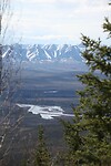 IMG_2135
