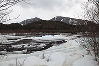 IMG_2170