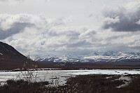IMG_2203
