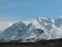 DSCN3234