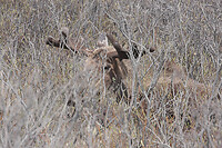 IMG_1550