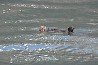 IMG_1561