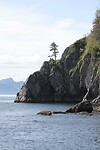 IMG_1606