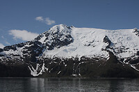 IMG_1817