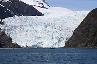 IMG_1825