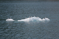 IMG_1840