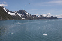 IMG_1842