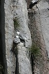 IMG_1863