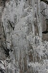 IMG_1867