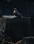 IMG_1870