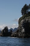 IMG_1917