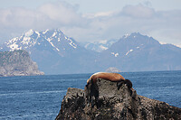 IMG_1923