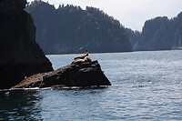 IMG_1932