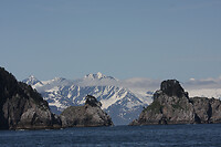IMG_1939