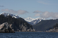 IMG_1965