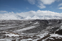 IMG_2477
