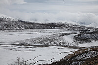 IMG_2703