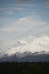 IMG_2778