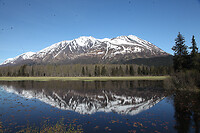 IMG_2964