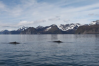 IMG_3057