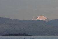 IMG_2701