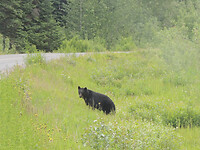 DSCN3728
