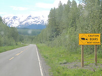 DSCN3733