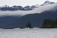 IMG_2232